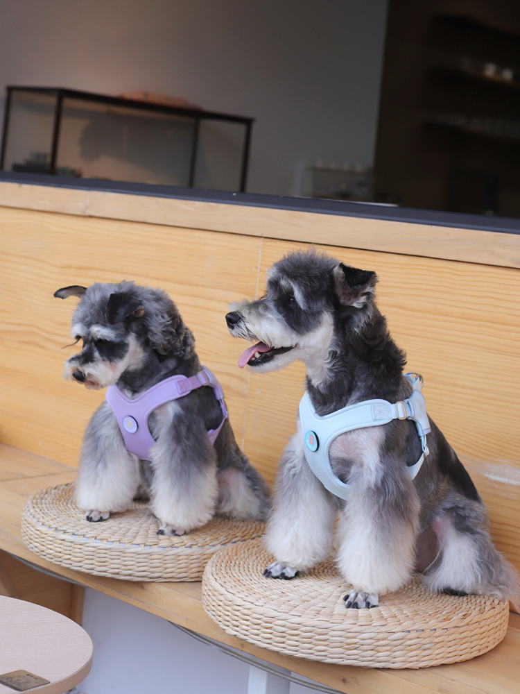 犬 ハーネス フラワーブーケ ふんわりハーネス