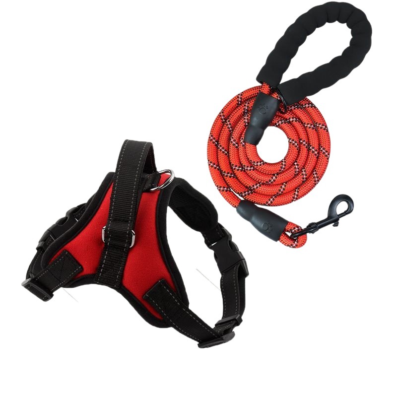 https://fulmo-img-server.com/wonderfulharness/c9f6ece5-2310-49e1-857e-a3e31c08aaca.jpg