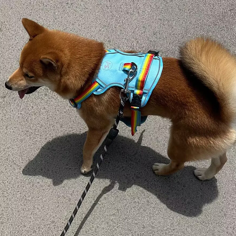 犬 ハーネス 彩虹ゆらり やさしいフィットハーネス