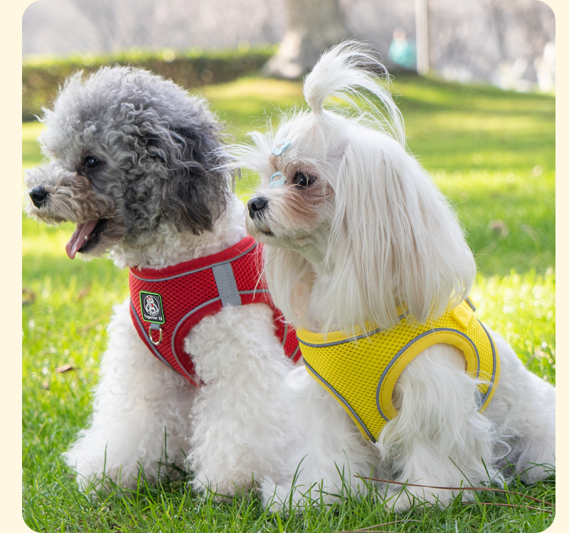 犬 ハーネス フワモコ安心メッシュハーネス