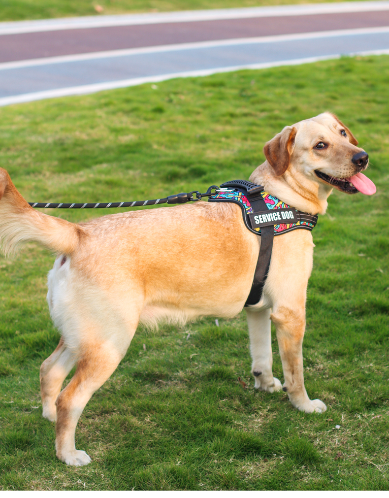 犬 ハーネス プロフェッショナル補助犬用ハーネス
