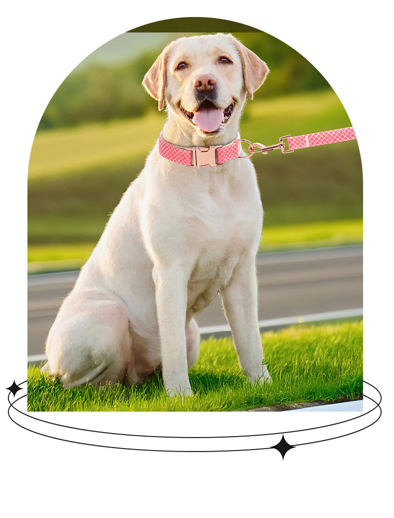 犬 ハーネス 上品な格子柄 ペット首輪シリーズ