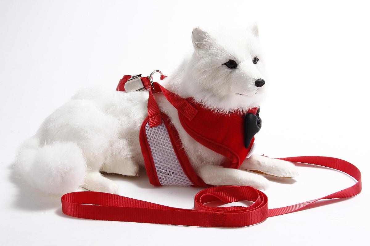 犬 ハーネス リボン付き蝶ネクタイ風ハーネス