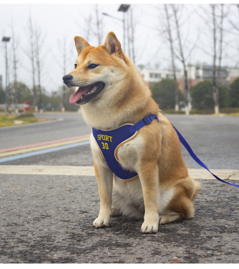 犬 ハーネス アスリートメッシュハーネス