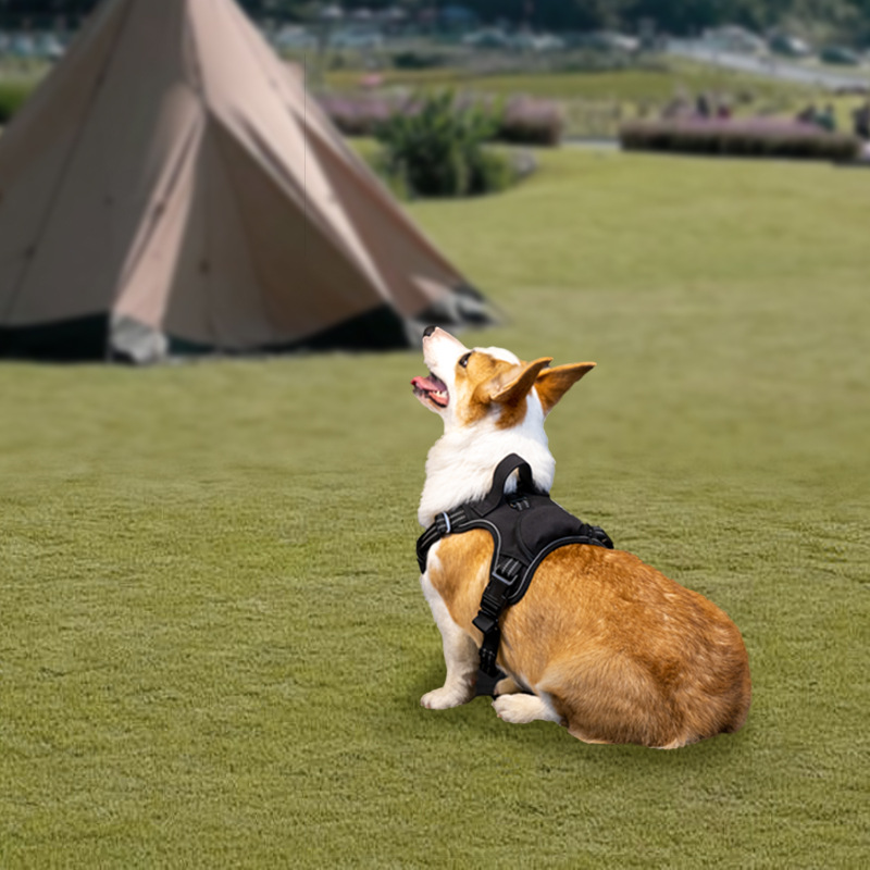 犬 ハーネス アウトドア快適ハーネス