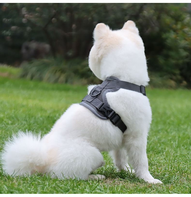 https://fulmo-img-server.com/wonderfulharness/cc5ff35c-28ef-4cc5-97d7-99dc25e111fd.jpg