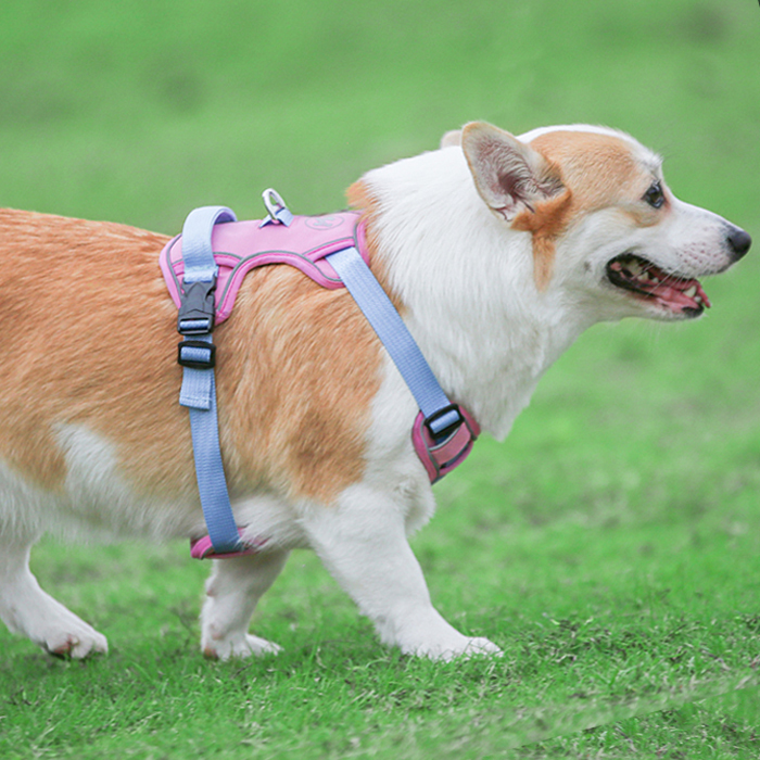 犬 ハーネス やさしフィット ペット用胴輪