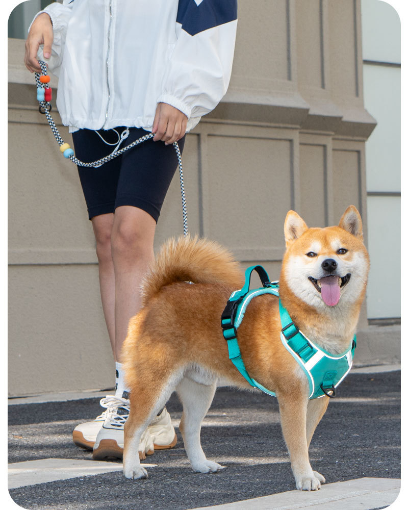 犬 ハーネス やさしさ包む快適ハーネス