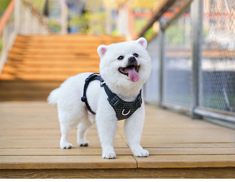 犬 ハーネス 安心快適 やさしいフィット ハーネス
