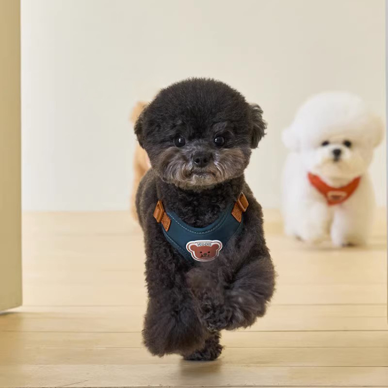 犬 ハーネス くまさんワッペン付きシンプル小型犬ハーネス
