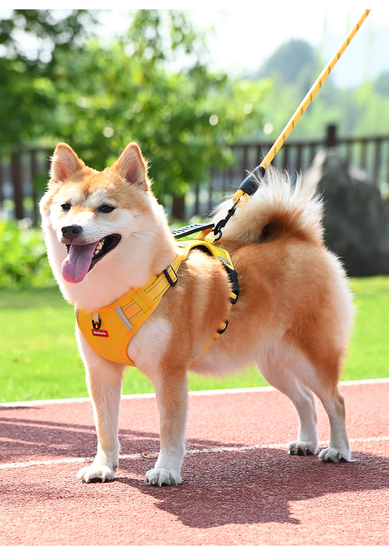 犬 ハーネス 柔らか素材の安心ハーネス