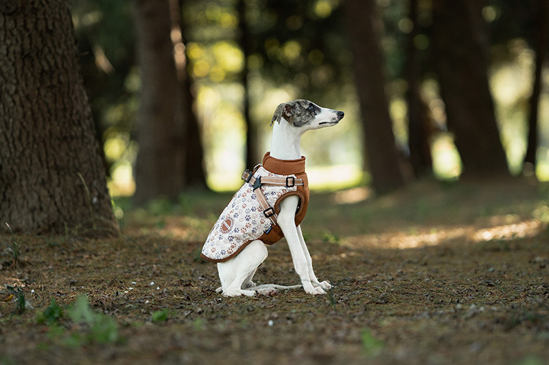 犬 ハーネス やわらか肌触り 散歩安心ハーネス