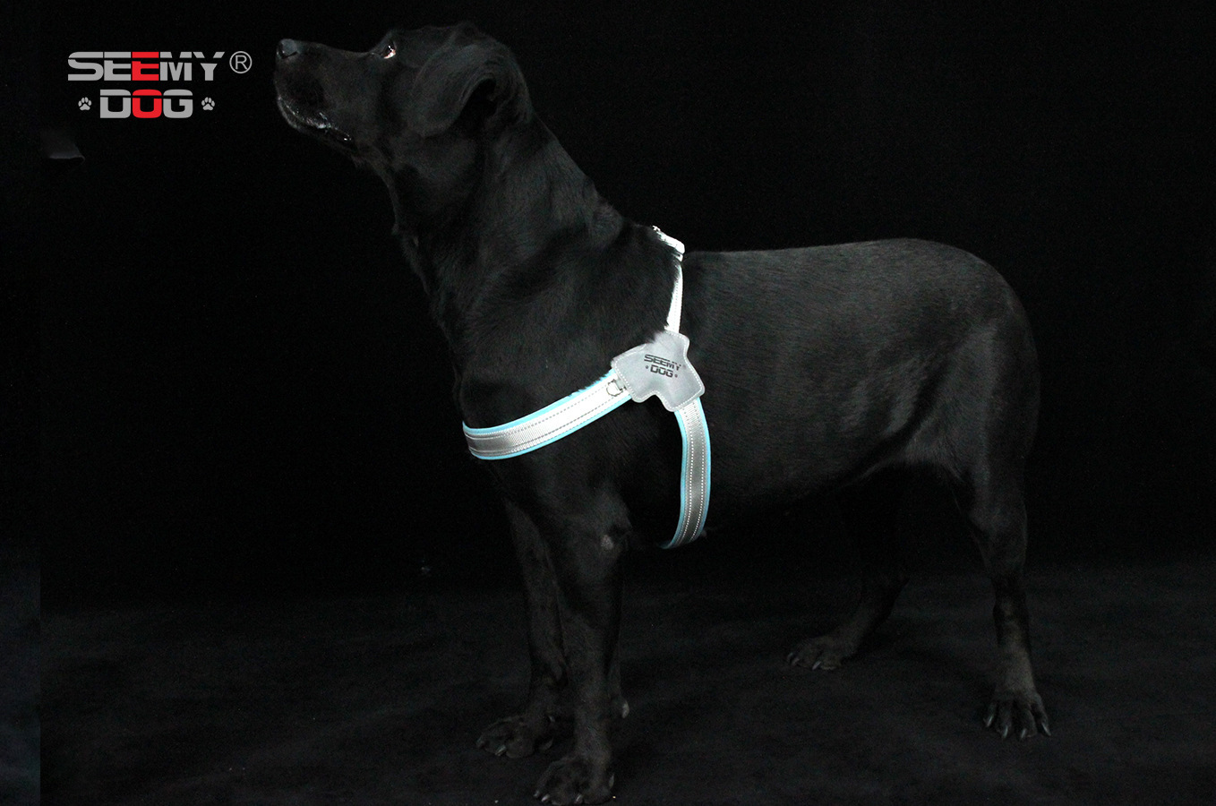 犬 ハーネス なめらか快適 ワンタッチ胴輪