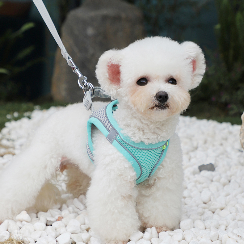 犬 ハーネス やわらか通気メッシュ安心ハーネス
