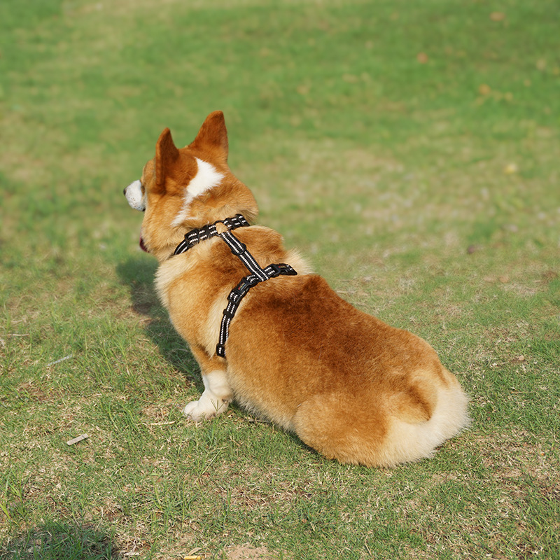 犬 ハーネス 愛犬快適メッシュハーネス