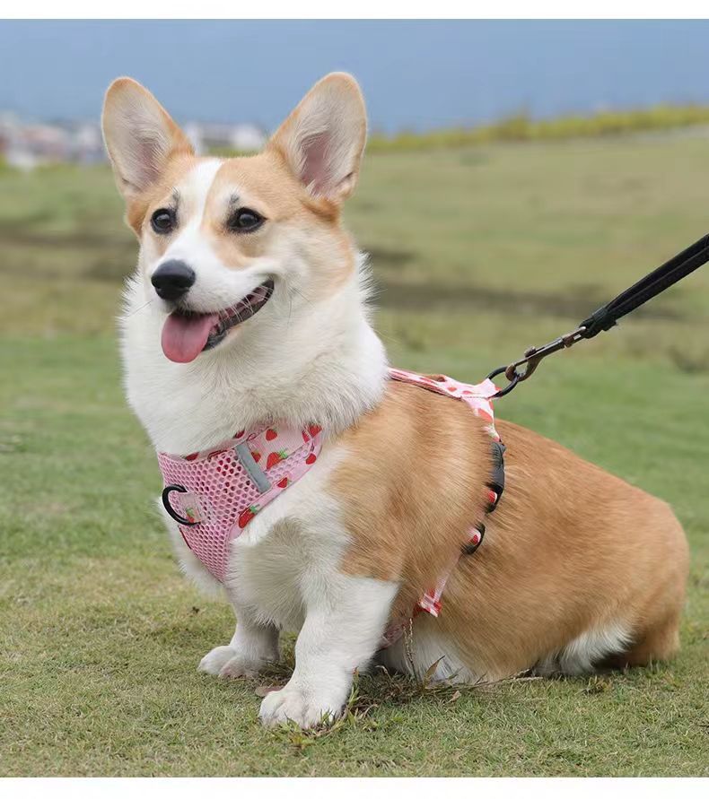 犬 ハーネス メッシュ素材の涼やか散歩ハーネス
