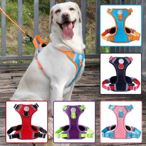 https://fulmo-img-server.com/wonderfulharness/ceb245be-8ac3-4eb4-a84d-cd6b35062ddb.jpg