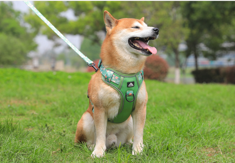 犬 ハーネス やさしさ包む 四季の散歩ハーネス