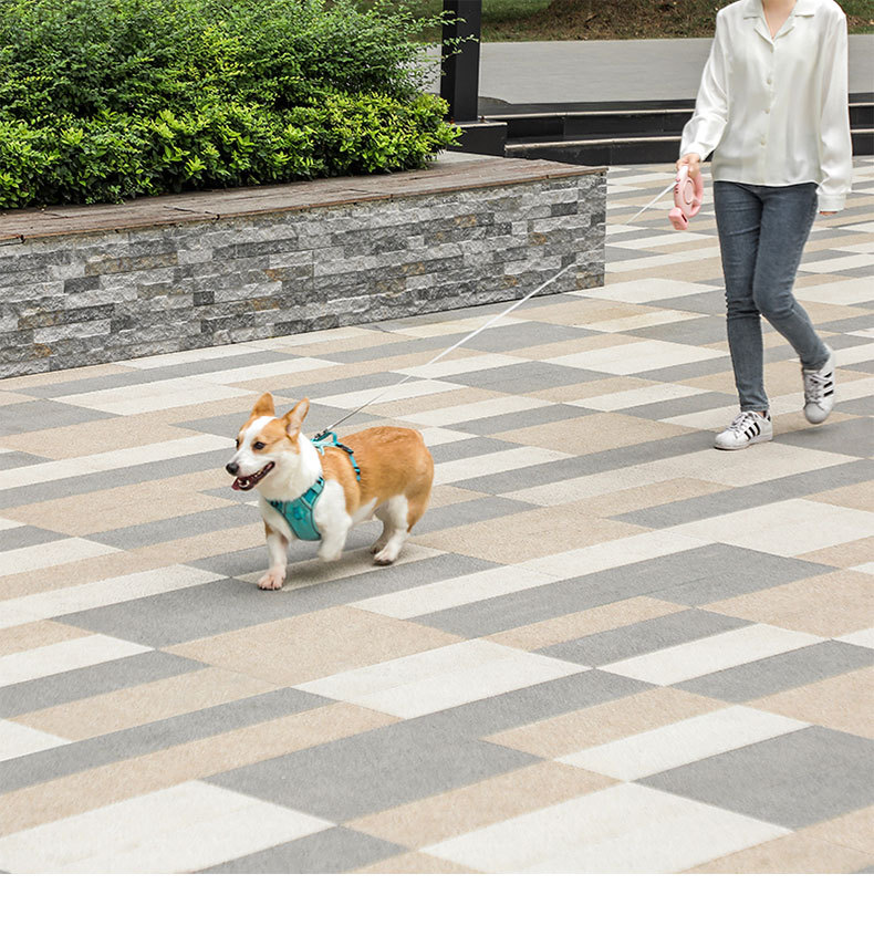 犬 ハーネス 生成エラーです