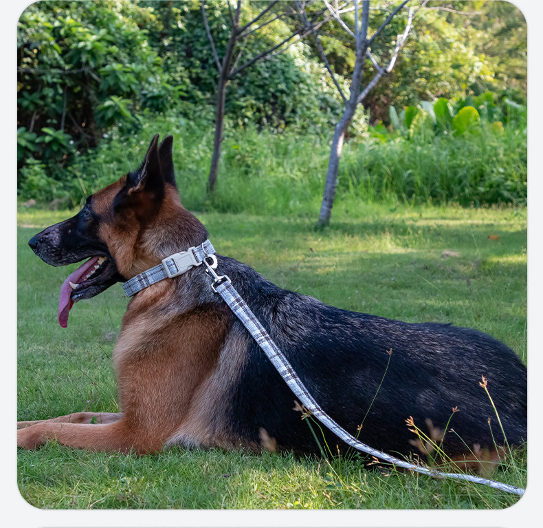 犬 ハーネス デイリーリネンリード