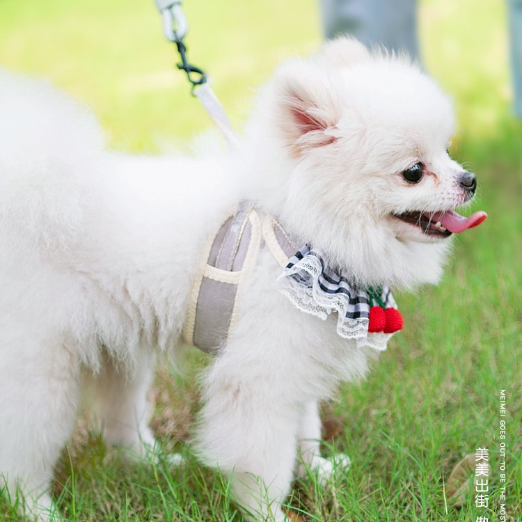 犬 ハーネス レース飾り付き お姫様ハーネス