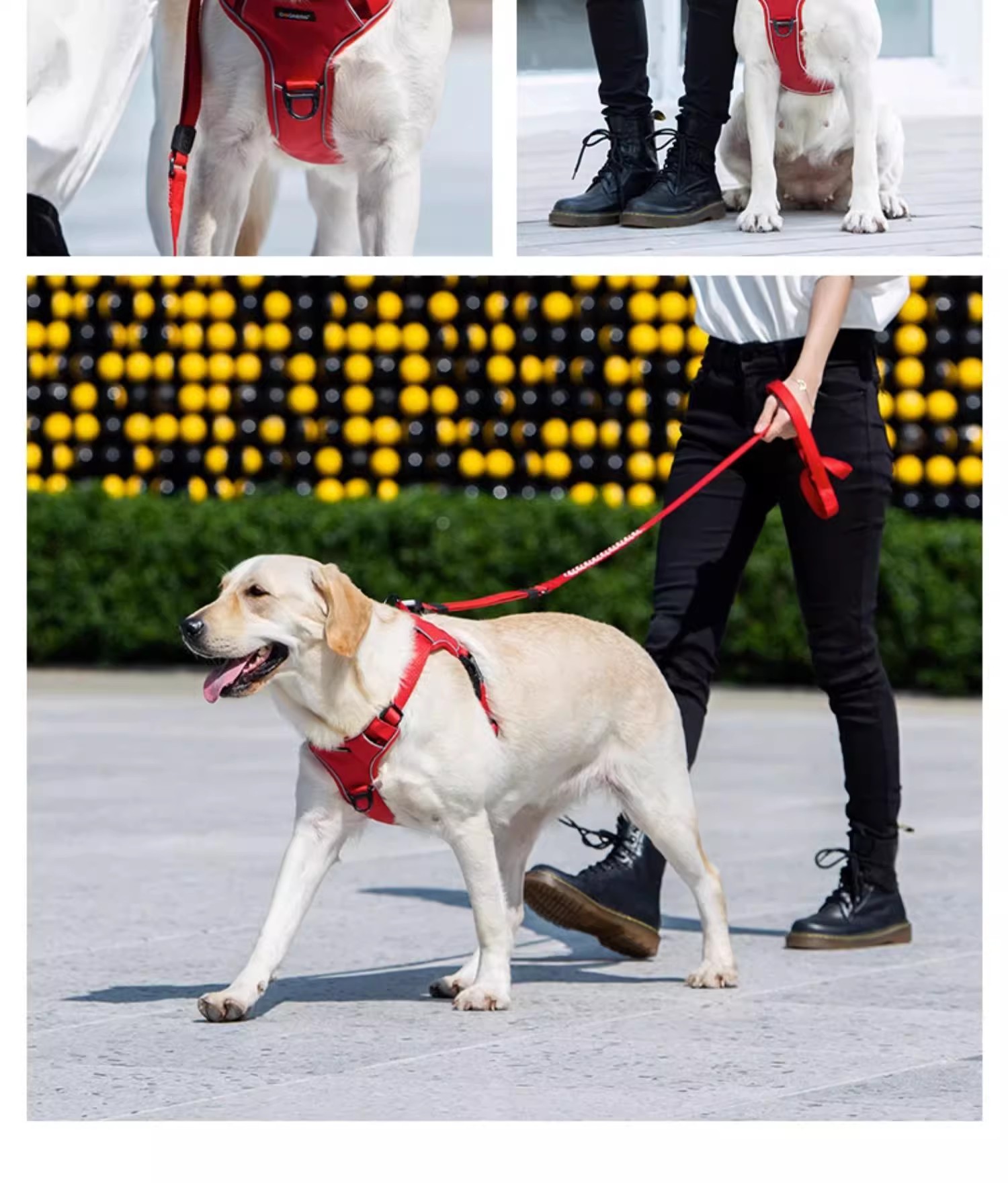 犬 ハーネス 光る安心ハーネス