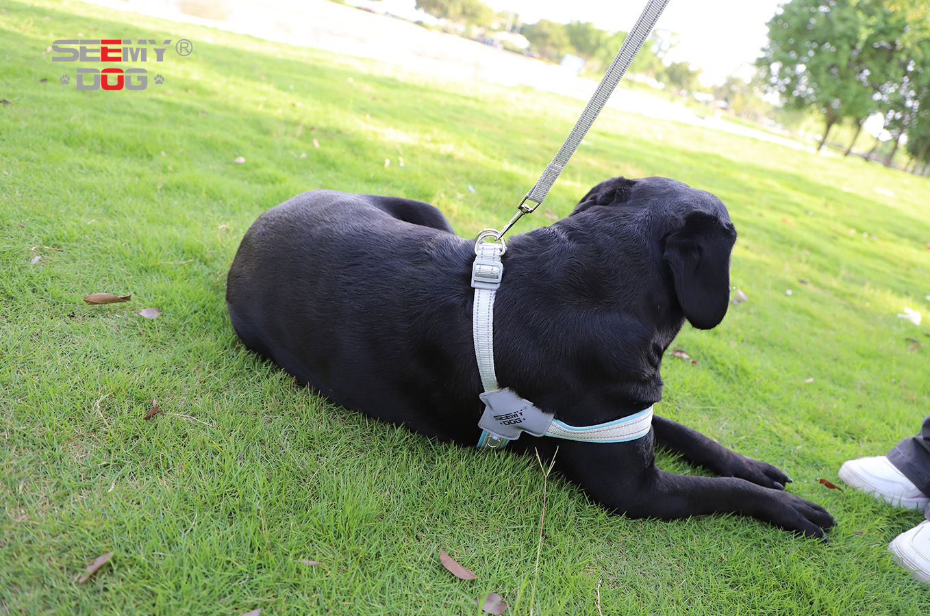 犬 ハーネス なめらか快適 ワンタッチ胴輪