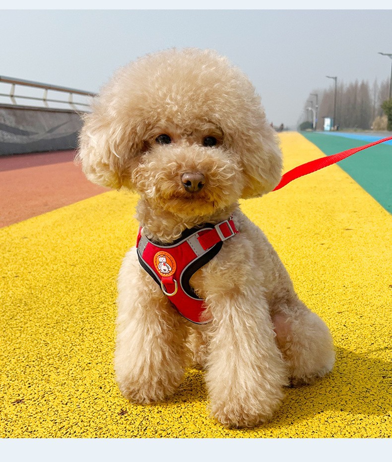 犬 ハーネス ふわもこ安心フィットハーネス