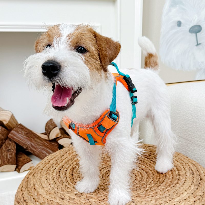 犬 ハーネス シンプル愛犬用ハーネス