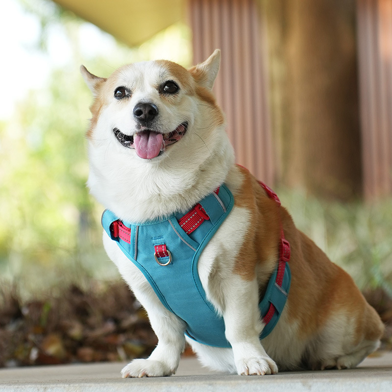 犬 ハーネス やさしさ包む ふんわりメッシュハーネス