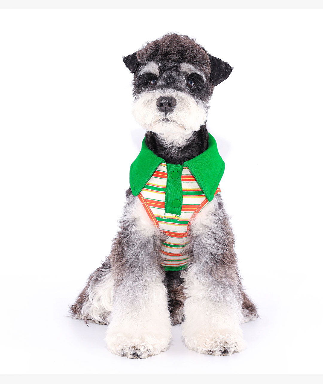 犬 ハーネス 上品なお出かけ蝶ネクタイハーネス