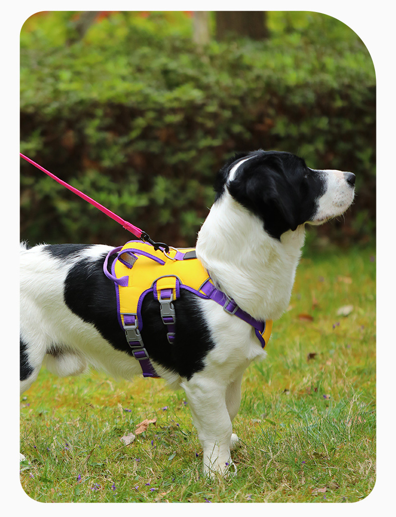 犬 ハーネス かぎ付きソフト胴輪