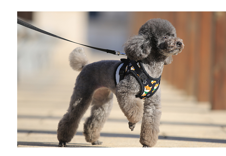 犬 ハーネス やさしい呼吸 フィット ハーネス