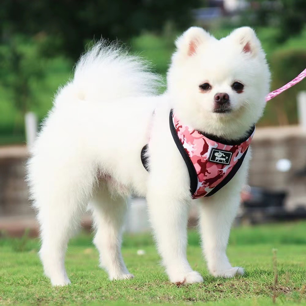 犬 ハーネス 迷彩柄ペット用お散歩セット