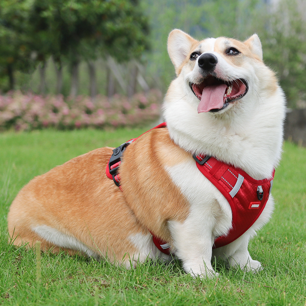 犬 ハーネス ゆとりの散歩ハーネス
