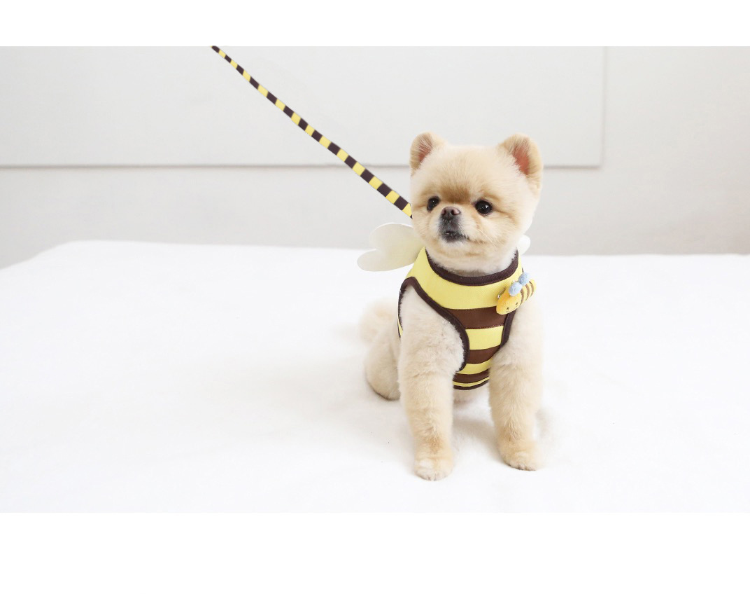 犬 ハーネス みつばち安全ハーネス