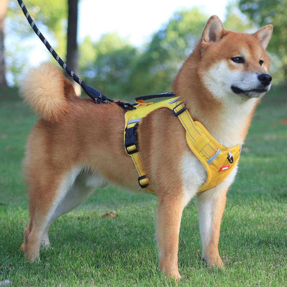犬 ハーネス シンプル散歩軽量ハーネス