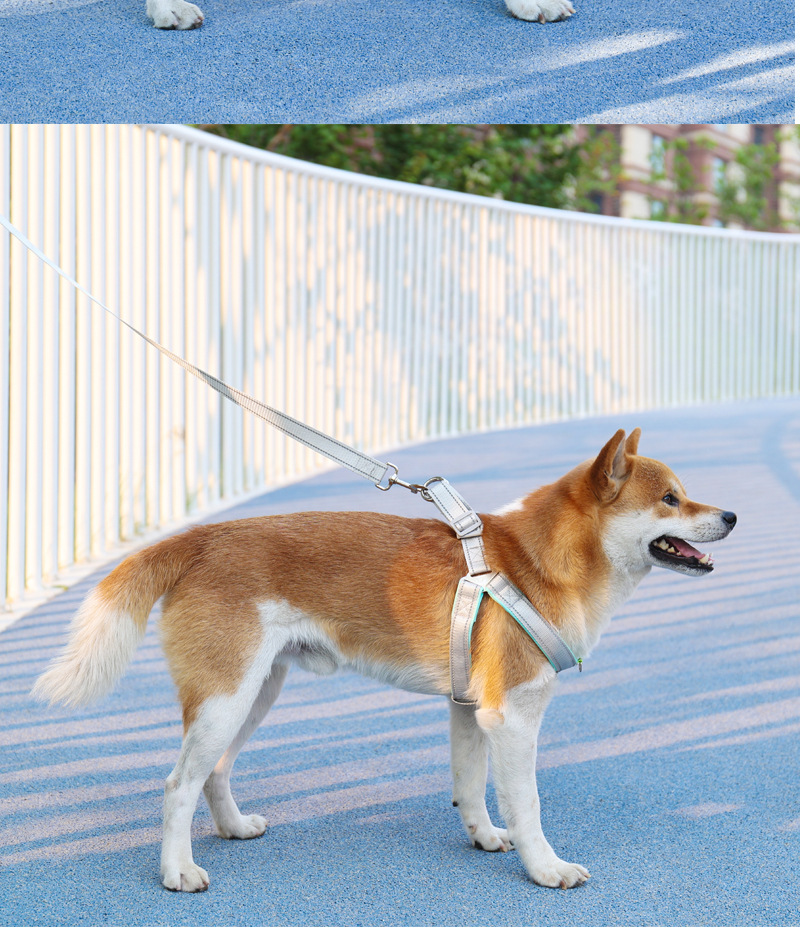 犬 ハーネス やわらか快適 シンプルメッシュハーネス