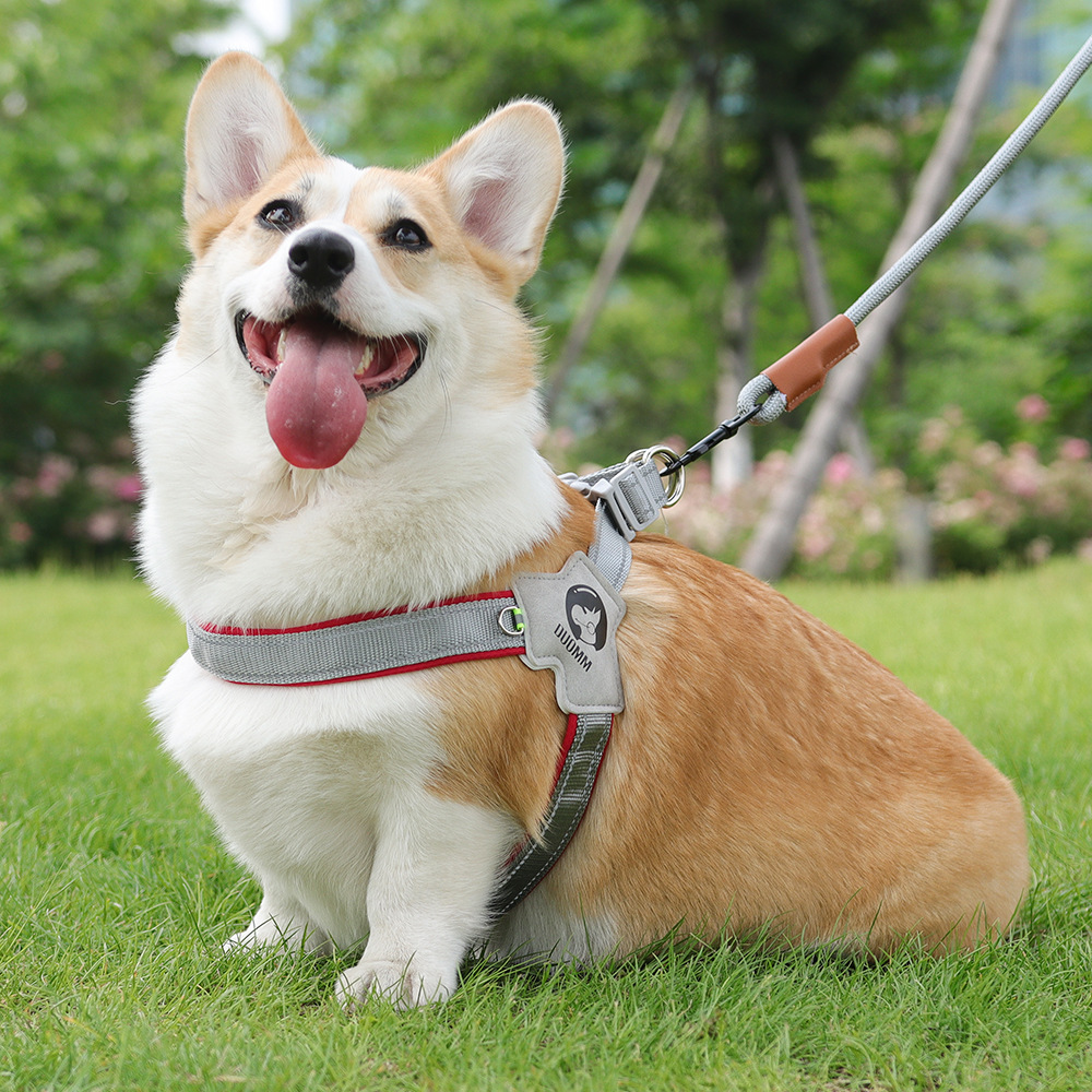 犬 ハーネス なめらか快適 シンプル装着ハーネス