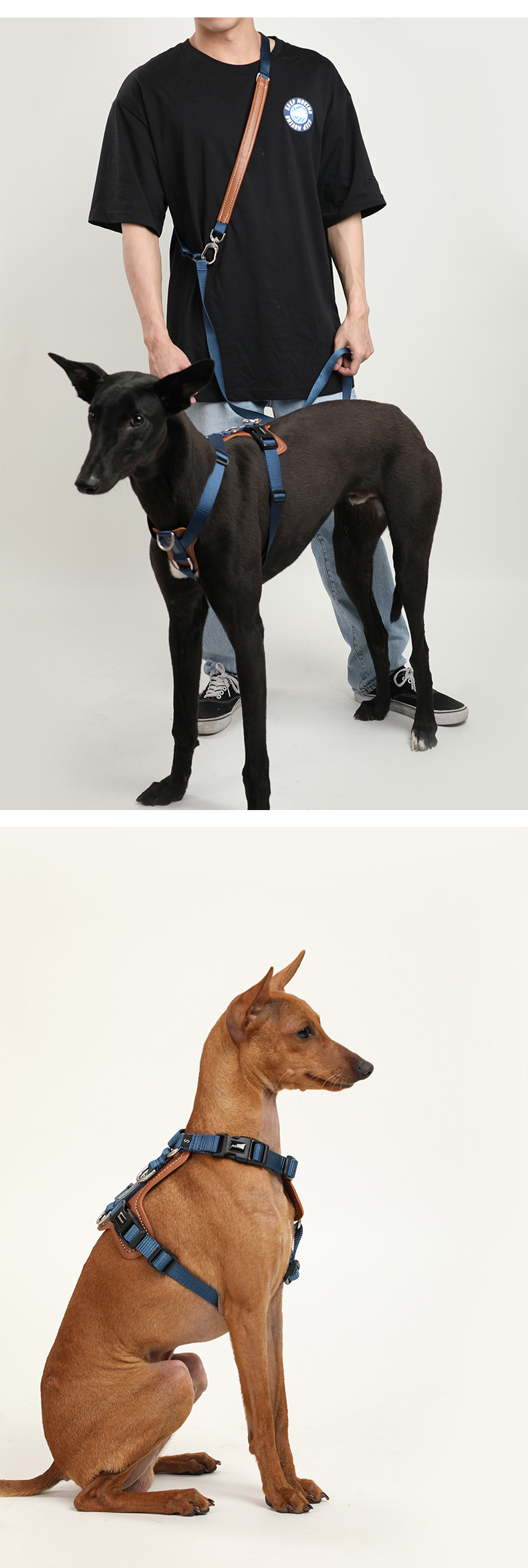 犬 ハーネス リラックスフィット 散歩用ハーネス