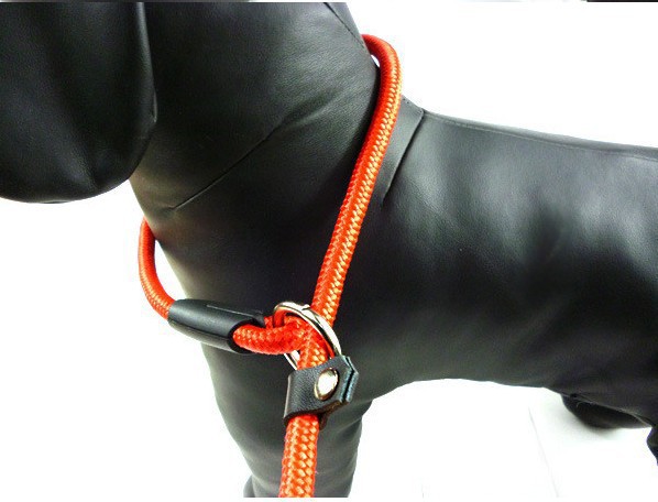 https://fulmo-img-server.com/wonderfulharness/d4f59434-2d5d-4fb0-a48a-54ea89964eeb.jpg