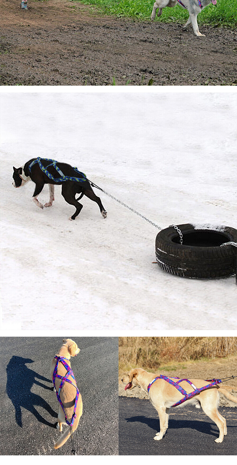 犬 ハーネス 職人技が光る快適あわせハーネス