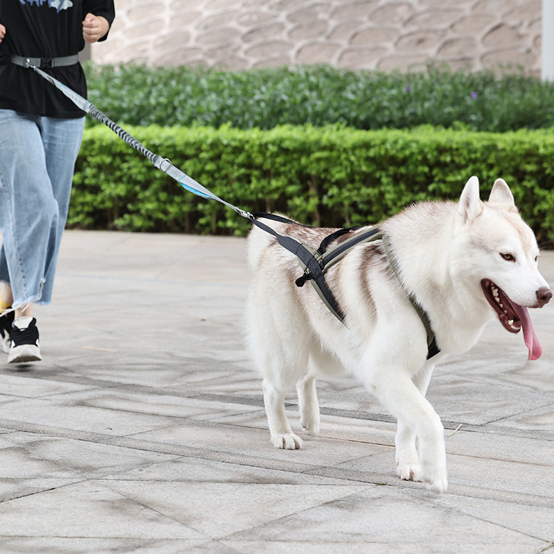 犬 ハーネス やさしさ包むフィットハーネス