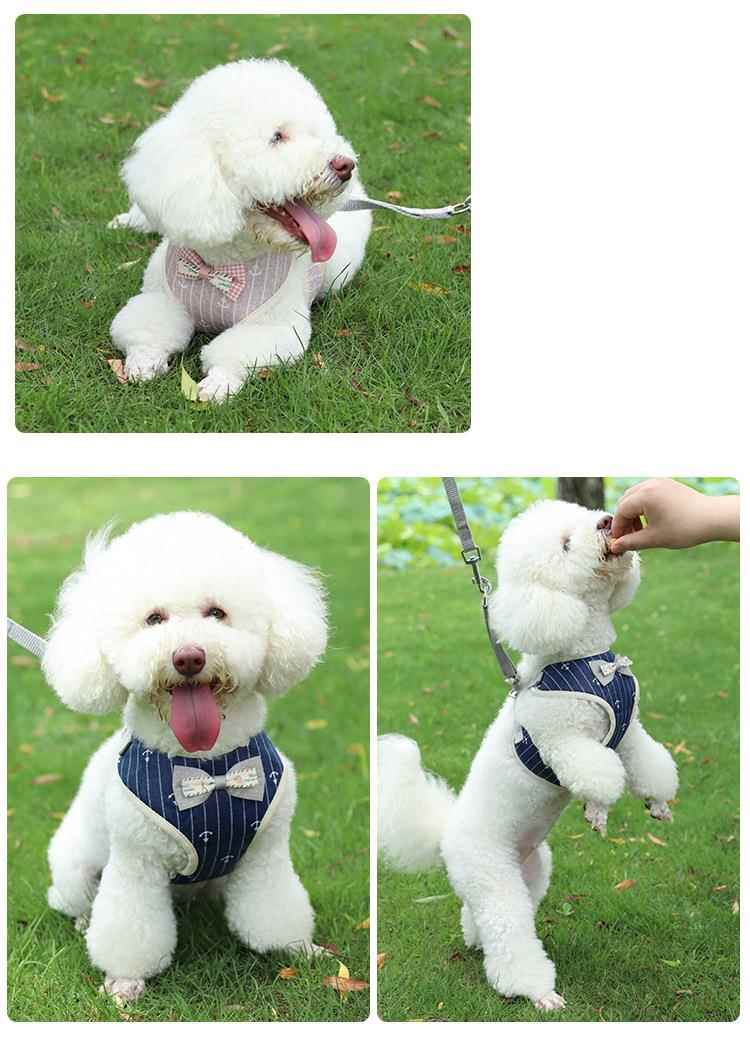 犬 ハーネス リボン飾り付き上質仕立てハーネス