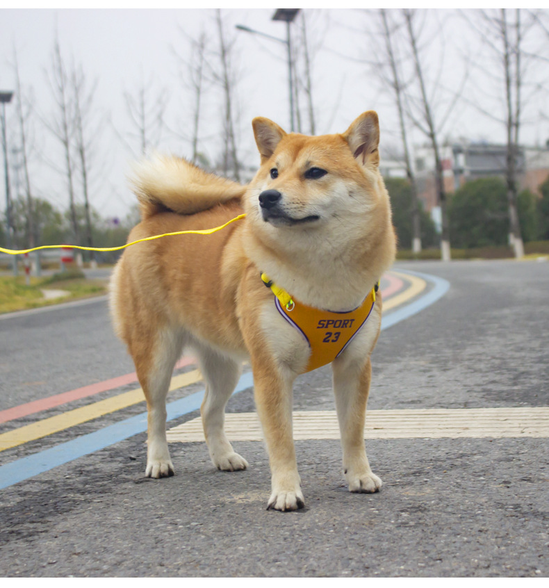 犬 ハーネス アスリートメッシュハーネス