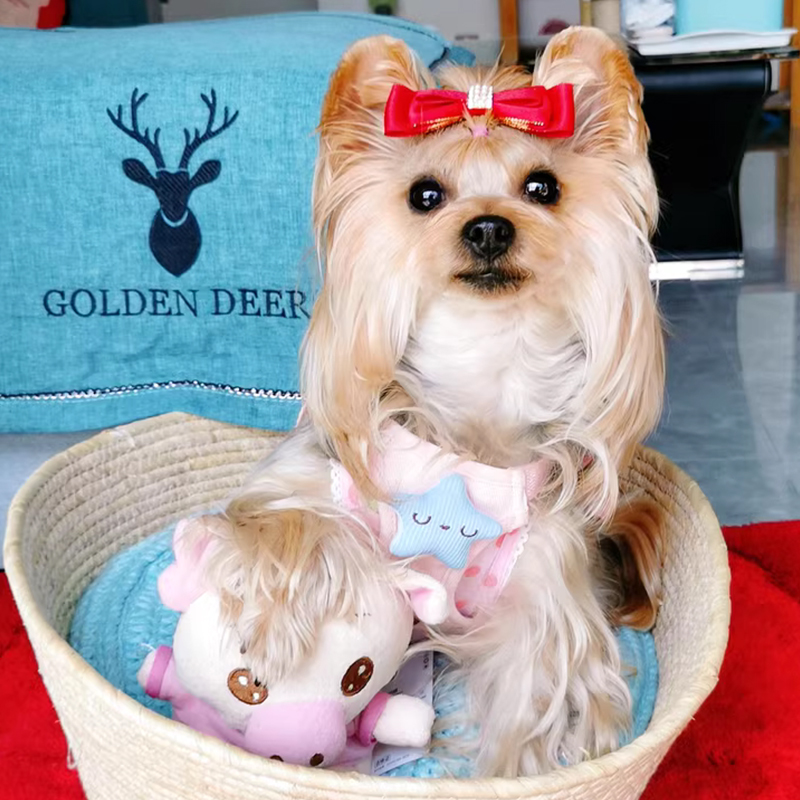 犬 ハーネス 小花をあしらった軽やかハーネス