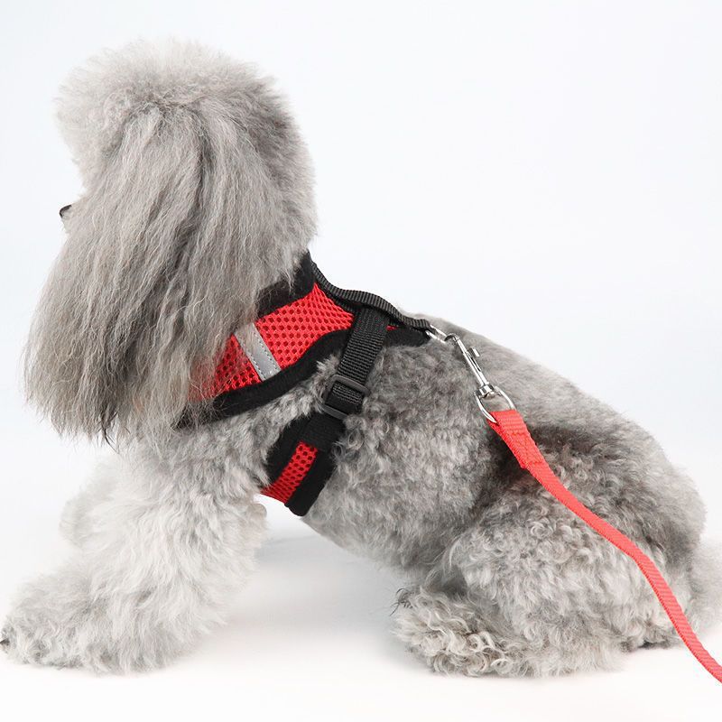 犬 ハーネス メッシュ素材のやさしいハーネス