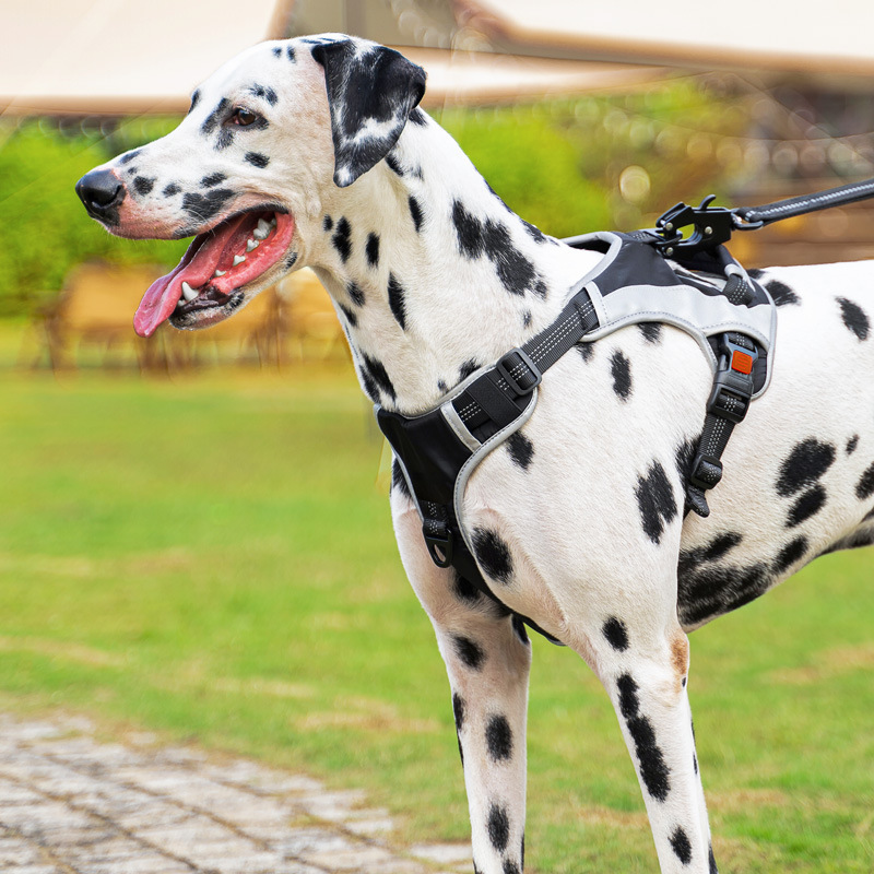 犬 ハーネス アスリートドッグハーネス