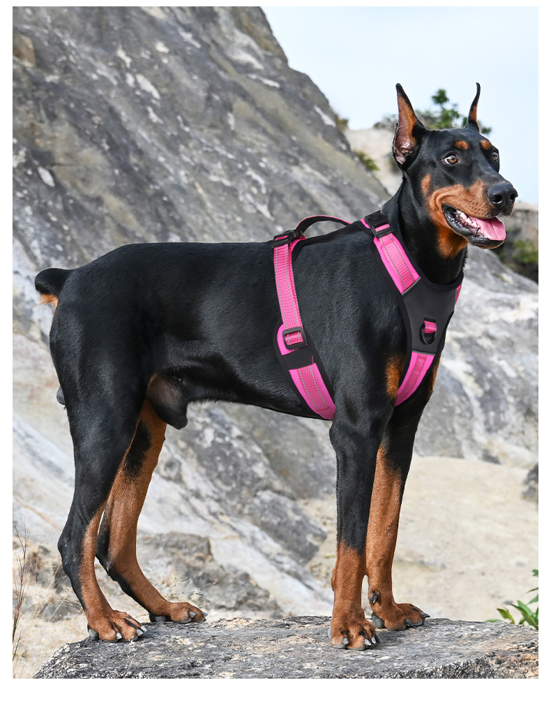 犬 ハーネス スタイリッシュ シンプルハーネス