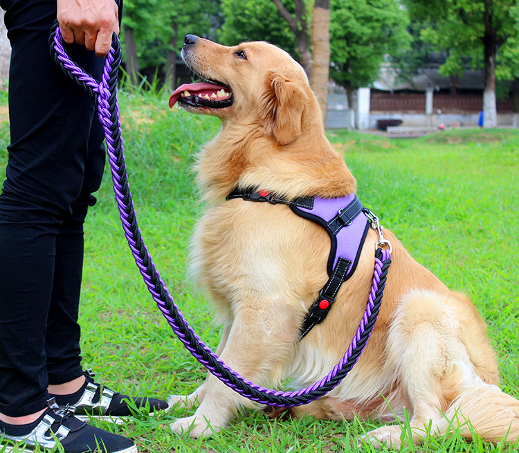 犬 ハーネス 職人手編み散歩ハーネス